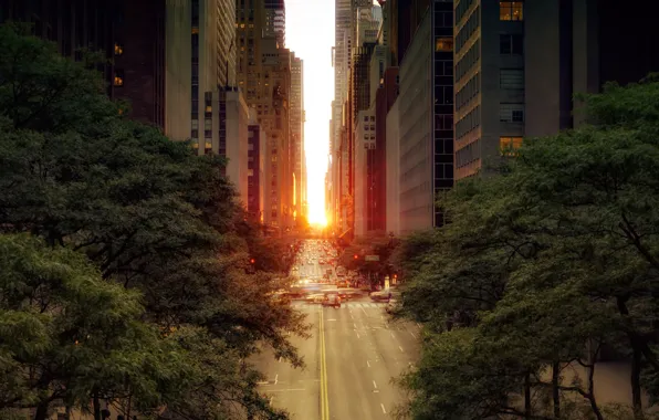 Picture road, the sun, trees, machine, the city, street, foliage, building