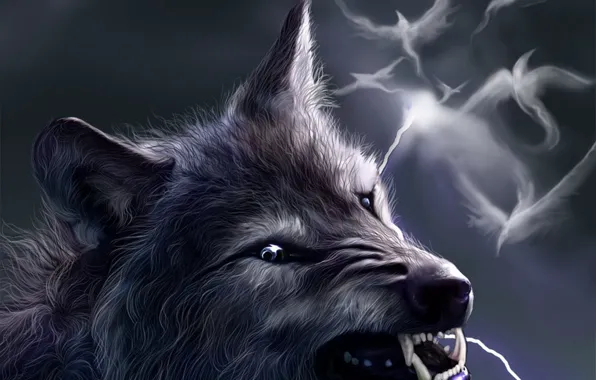 Picture birds, fantasy, lightning, wolf, grin, werewolf