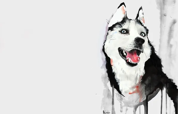 Picture language, figure, dog, watercolor, husky, husky
