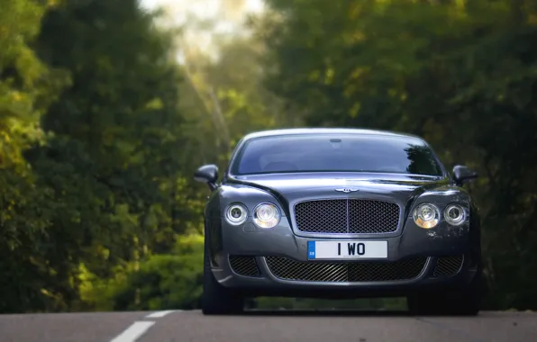 Picture Auto, Bentley, Continental, Forest, grille, Machine, Logo, Grey, Lights, Car