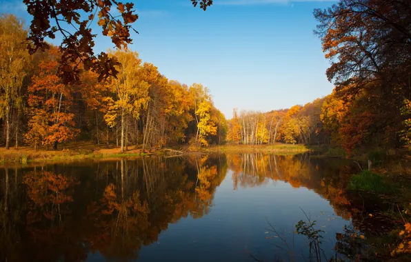 Picture autumn, the sky, reflection, trees, nature, lake, pond, paint