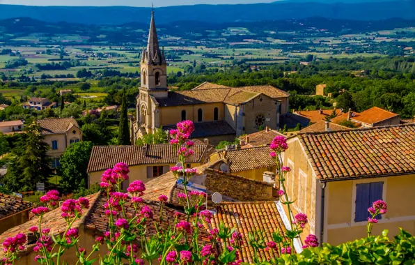 Picture summer, the sun, trees, flowers, mountains, France, field, home, roof, Bonnieux