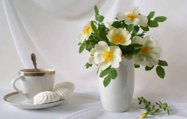 Picture flowers, tea, bouquet, petals, Cup, vase, still life, saucer, marshmallows