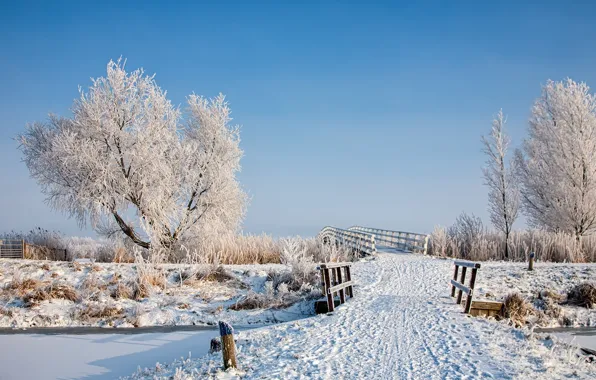 Picture winter, snow, landscape, bridge