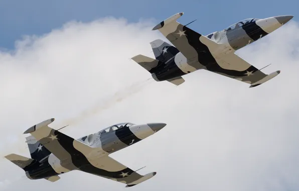 Picture flight, the plane, "Albatross", Albatros, combat training, Aero L-39