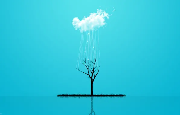 Picture grass, style, reflection, rain, tree, minimalism, cloud, grass, rain, minimalism, style, cloud, tree, 2560x1600, reflection