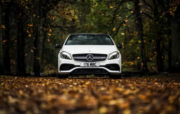 Picture autumn, white, leaves, Mercedes-Benz, Mercedes, AMG, AMG, A-class, W176