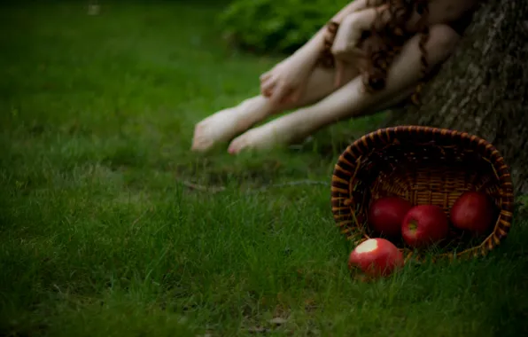 Picture grass, girl, macro, photo, background, basket, apples, blur