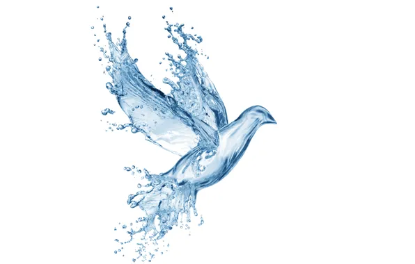 Picture water, drops, squirt, creative, figure, dove, splash, art, Water, art, splash, drops, dove, pigeon, drawing, …