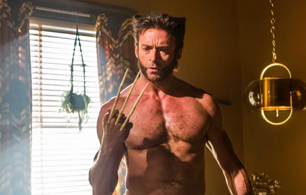 Picture Wolverine, Hugh Jackman, X-Men, Logan, Hugh Jackman, X-Men, Days of Future Past, Days of future …