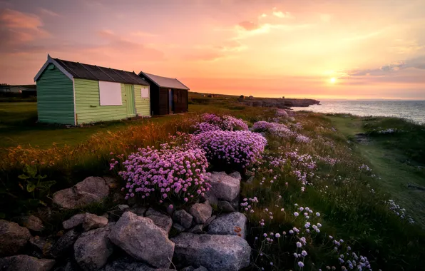 Picture grass, the sun, landscape, flowers, sunrise, stones, island, England, Portland, hut, UK, Portland, flowers, England, …