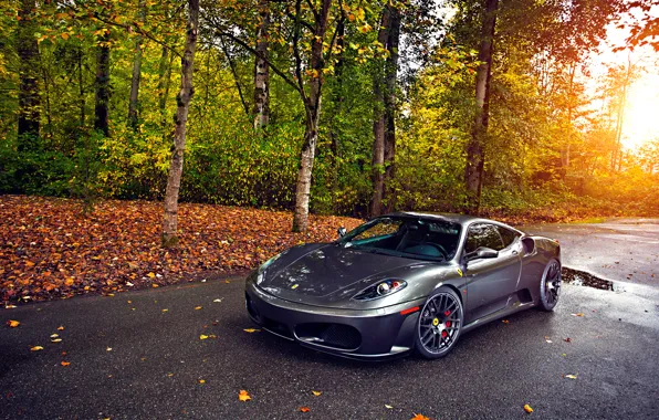 Picture Ferrari, Green, Sun, Autumn, Tuning, asphalt, Silver, 430, Wheels, Trees, Leaf