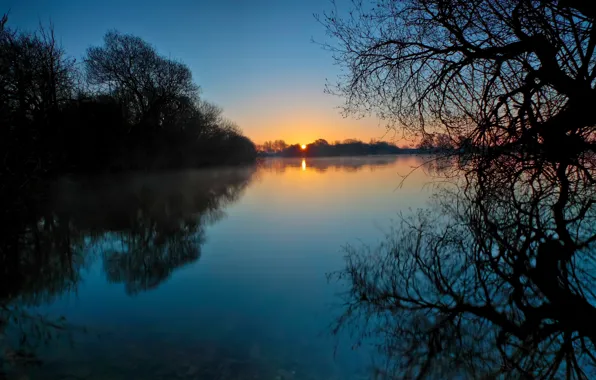 Picture water, trees, sunset, nature, lake, reflection, river, the evening