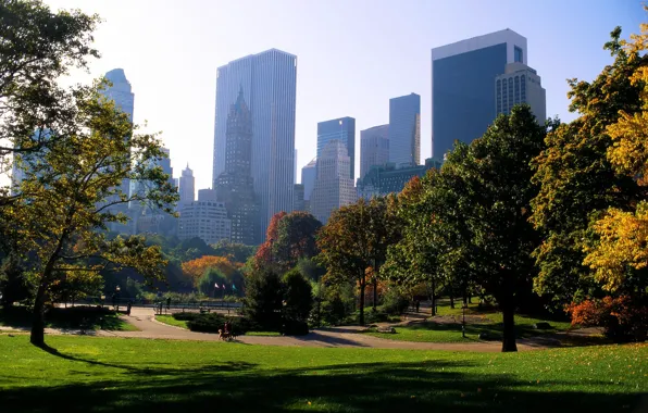 Picture trees, city, the city, Park, path, park, new york, usa, new York, paths