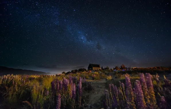 Picture the sky, flowers, night, house, the wind, trail, stars, New Zealand, hill, the milky way, …