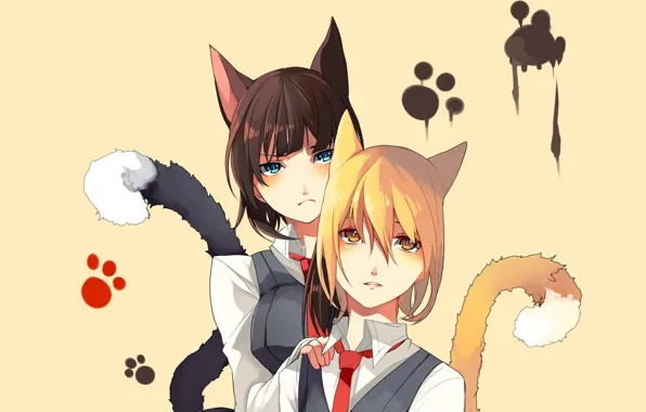 Picture cat, girl, traces, legs, anime, neko, school uniform, ears, ponytail