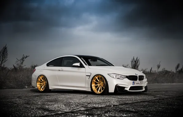 Picture BMW, BMW, Car, tuning, White, F30