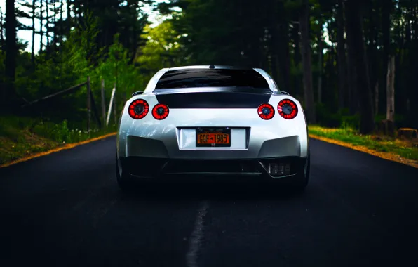 Picture GTR, Nissan, R35, Road, Silver, Forest, Rear, Ligth