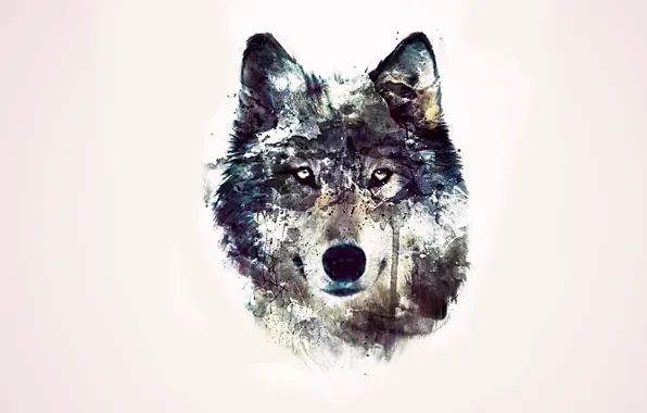 Picture eyes, background, abstraction, wolf