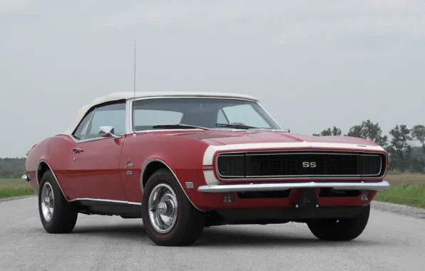 Picture red, red, convertible, Chevrolet, muscle car, camaro, chevrolet, convertible, muscle car, 1968, chevy, Camaro, 396, …
