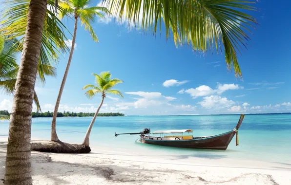 Picture sand, sea, beach, the sky, the sun, tropics, palm trees, the ocean, shore, boat, summer, …