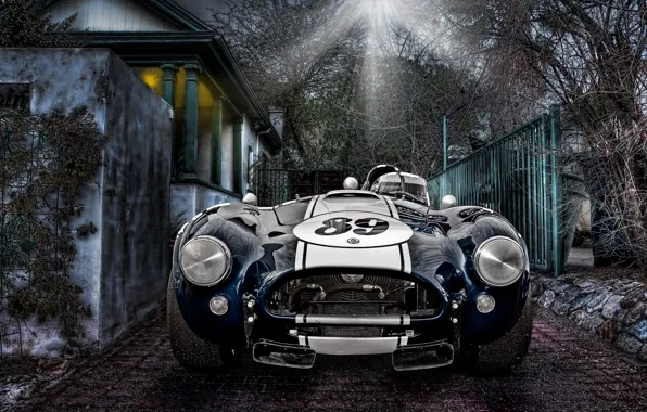 Picture car, shelby, classic, legend, cobra, 427, racing, athletic