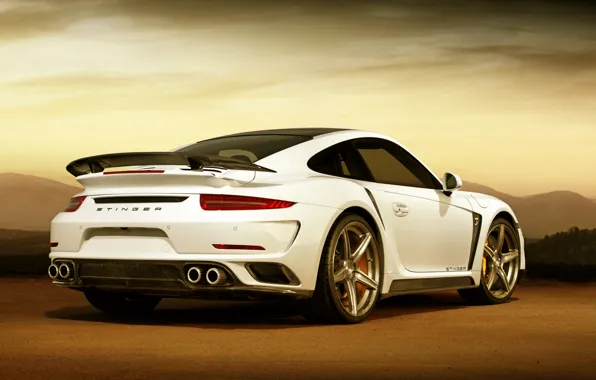 Picture 911, Porsche, GTR, Porsche, Turbo, Ball Wed, turbo, Stinger