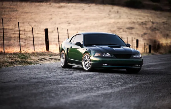 Picture road, field, green, mustang, Mustang, the fence, green, ford, Ford, road, field