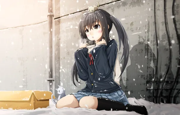 Picture winter, snow, cats, box, girl, form, k-on!, nakano azusa