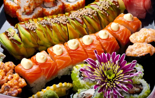 Picture fish, sushi, sushi, rolls, seafood, Japanese cuisine