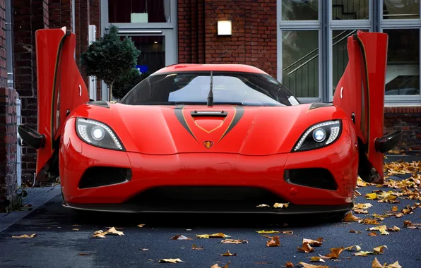 Picture autumn, leaves, red, Koenigsegg, beast, Red, autumn, Beast, Koenigsegg, agera R, Agera R