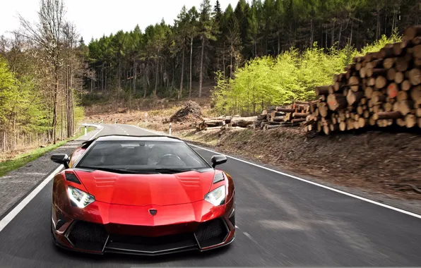 Picture road, forest, asphalt, movement, logs, pine, Lamborghini aventador Mansory, lamborghini aventador mansory