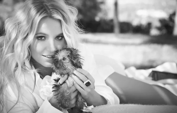 Picture pose, blonde, puppy, singer, Britney Spears, Britney Spears
