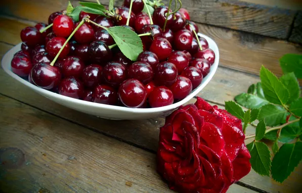 Picture flower, summer, drops, cherry, berries, rose, berry