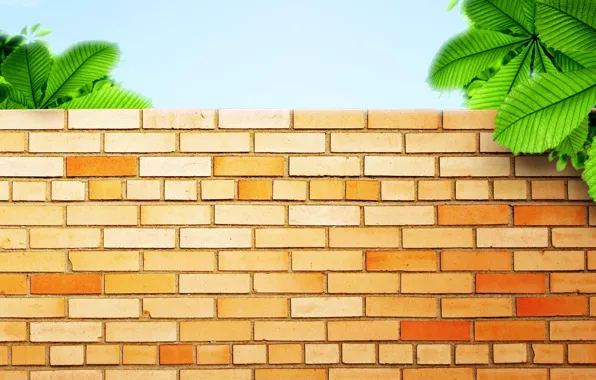 Picture greens, wall, wall, bricks