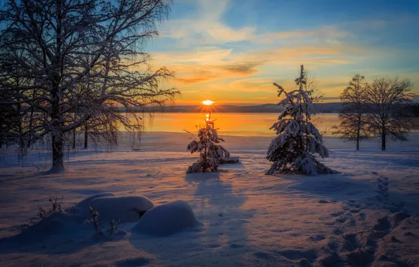 Picture winter, forest, snow, trees, sunset, river, shore, the snow, Sweden, Arvika