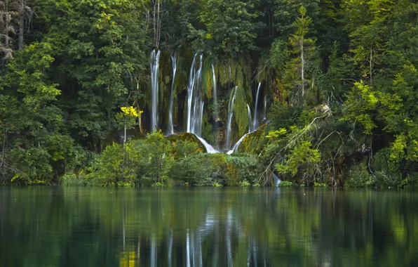 Picture forest, water, trees, lake, waterfall, Croatia, Croatia, Plitvice Lakes National Park, National Park Plitvice lakes