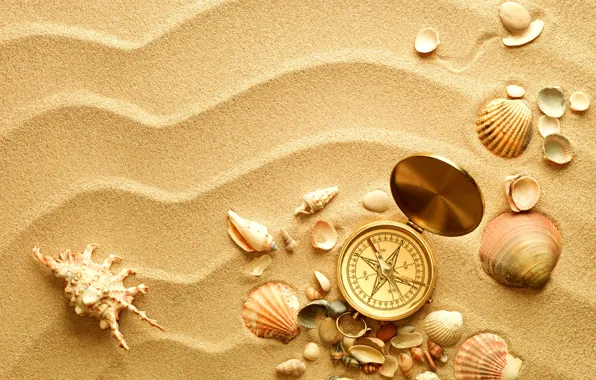 Picture sand, shell, compass, shell