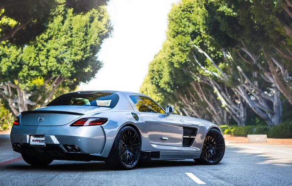 Picture road, trees, silver, silver, Mercedes, Mercedes, road, tree, sls, amg, back, AMG