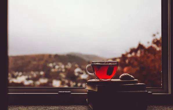 Picture cup, window, village, tea, cloudy, rainy