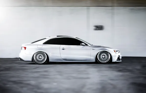 Picture car, movement, audi, speed, stance