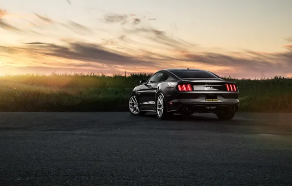 Picture Mustang, Ford, Muscle, Car, Sunset, Sunrise, Wheels, Before, Rear, Garde