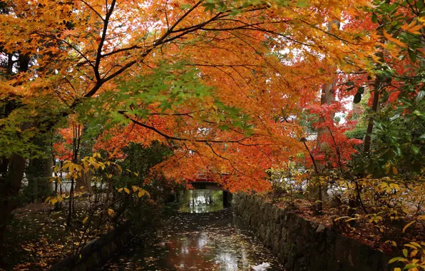 Picture autumn, trees, bridge, Park, channel