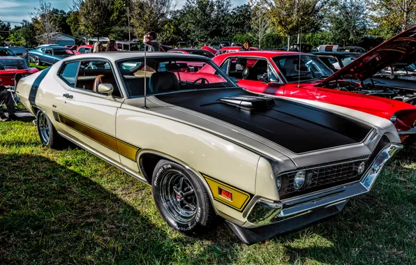 Picture Ford, classic, Ford Torino GT