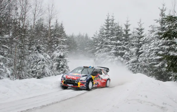 Picture race, Winter, Snow, Tree, Citroen, Track, Red Bull, DS3, Rally, Blur, Total, S. Loeb