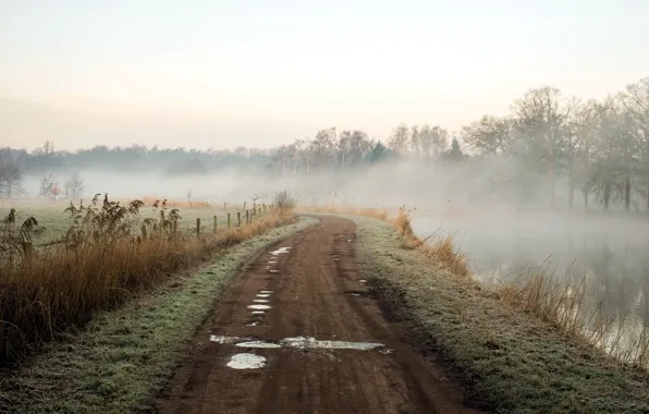 Picture road, landscape, nature, fog, river, morning