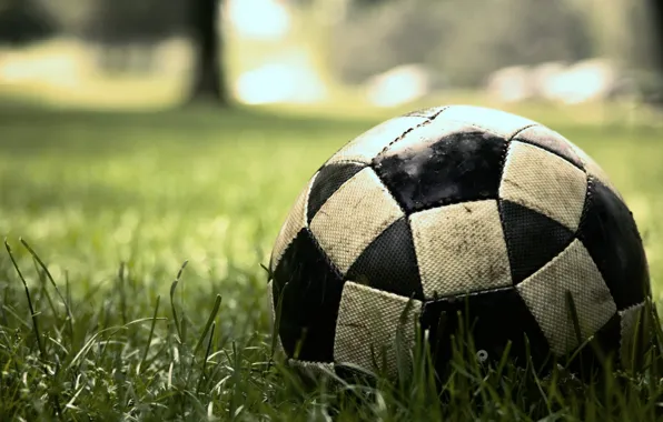Picture grass, macro, lawn, football, the game, the ball, sport, game, match, soccer