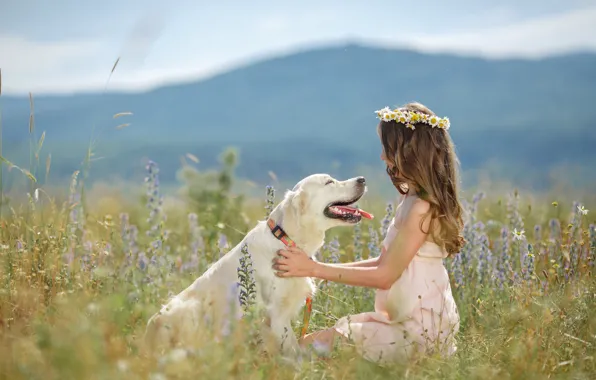 Picture nature, each, chamomile, dog, girl, wreath