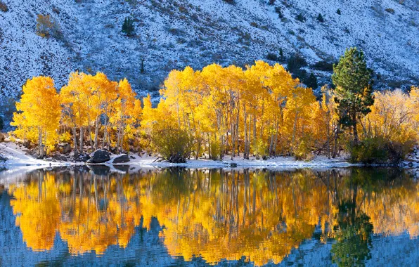 Picture autumn, snow, trees, lake, mountain