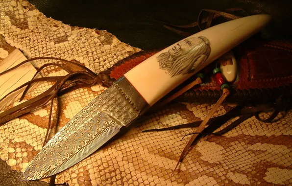 Picture blade, knife, bone, the handle